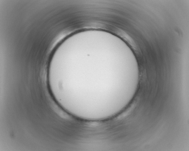 X0000115731130200911251932