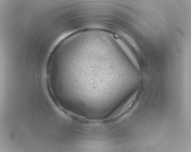 X0000115731133200911251932