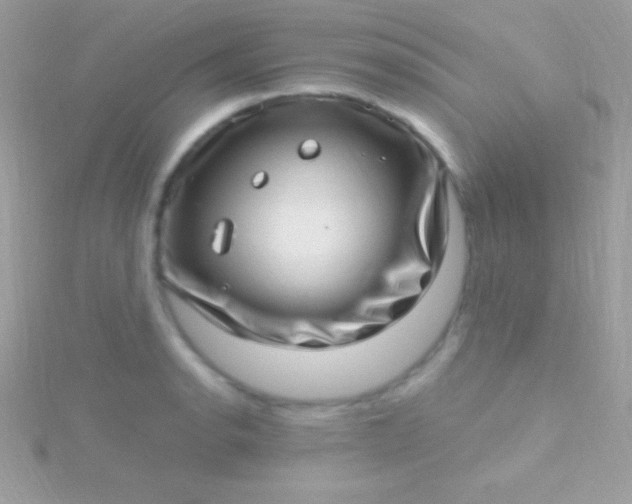 X0000115731134200911251933