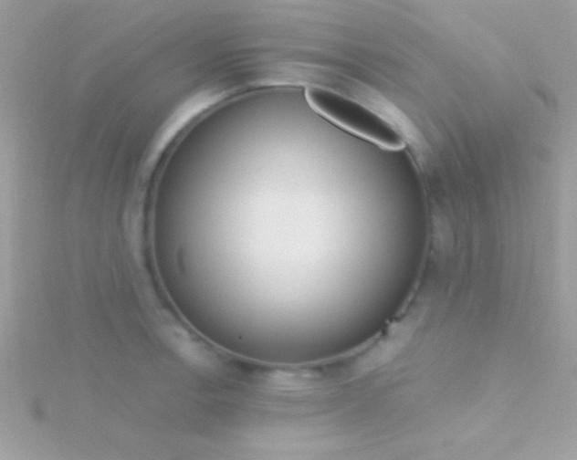 X0000115731138200911251933