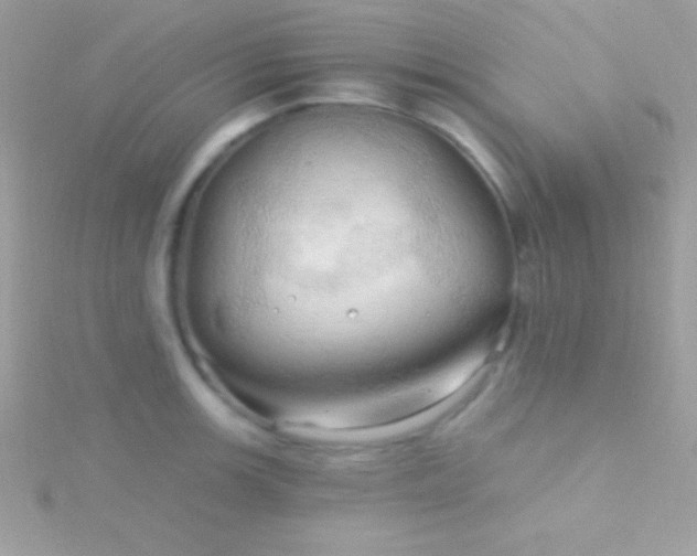 X0000115731139200911251933