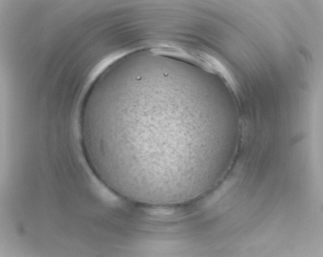 X0000115731141200911251933