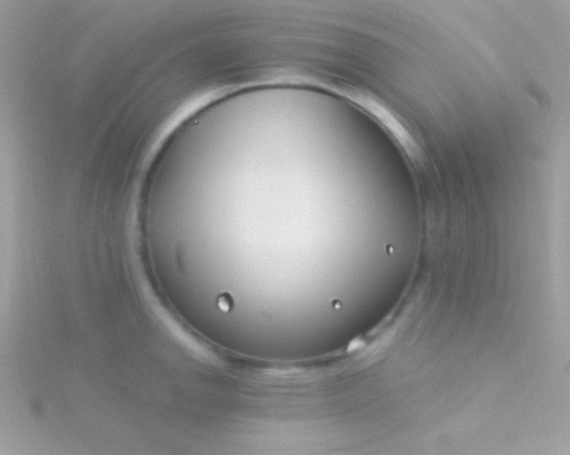 X0000115731142200911251933