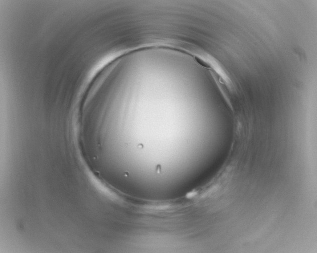 X0000115731143200911251933