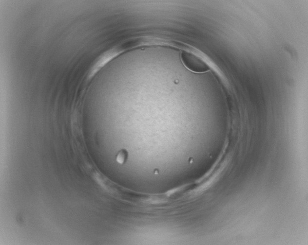 X0000115731145200911251933