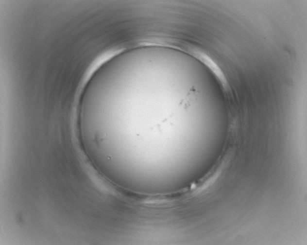 X0000115731146200911251933