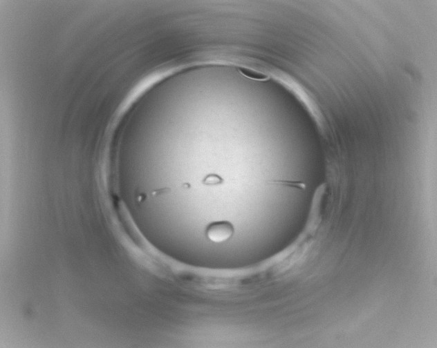 X0000115731147200911251933