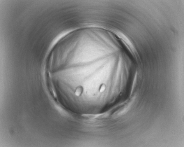 X0000115731149200911251933