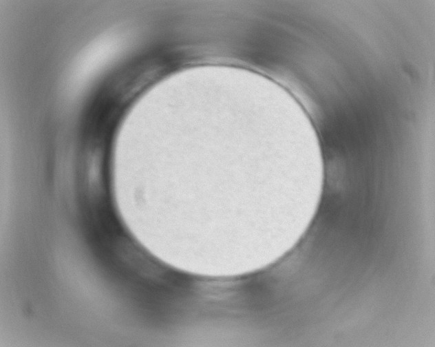 X0000115731150200911251933