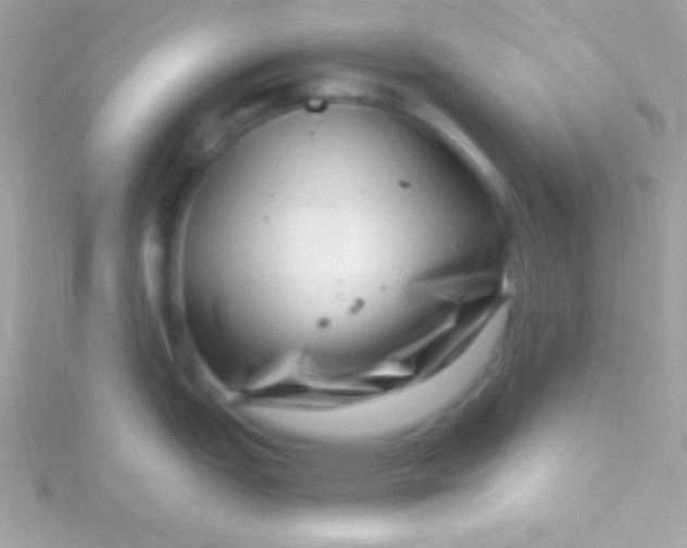 X0000115731151200911251933