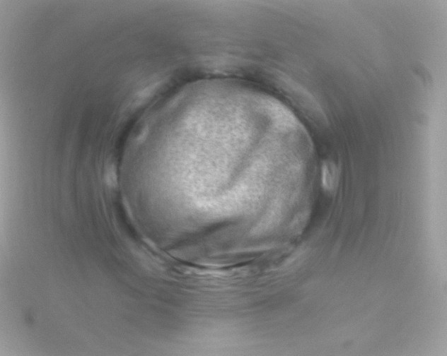 X0000115731155200911251932