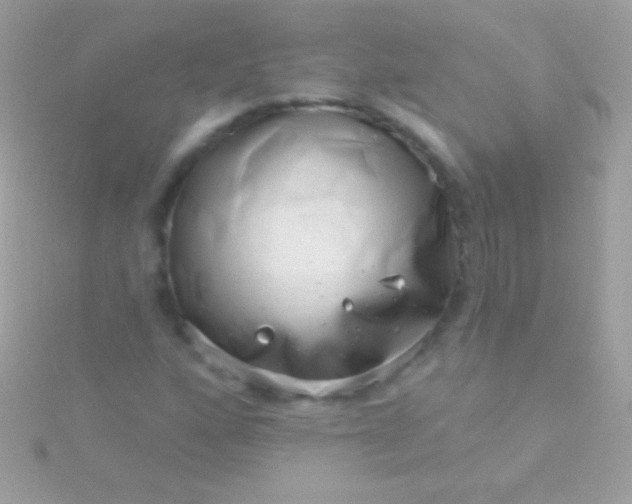 X0000115731160200911251932