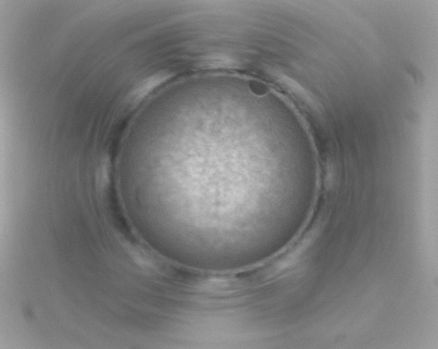 X0000115731161200911251932