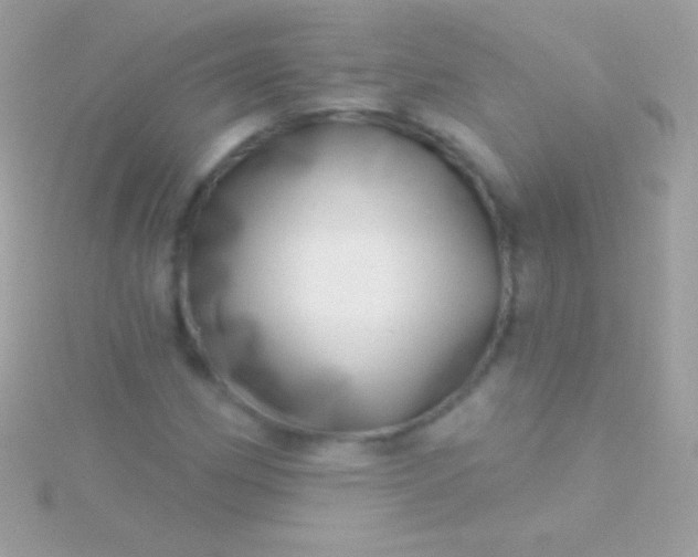 X0000115731162200911251932