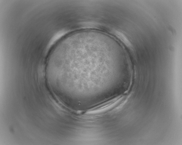 X0000115731164200911251932