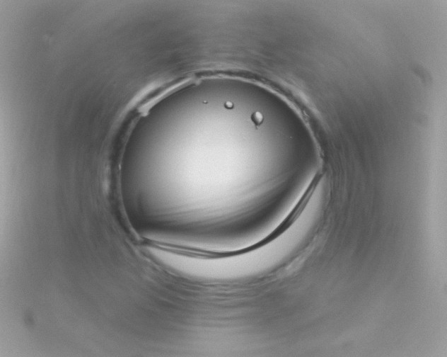 X0000115731165200911251932