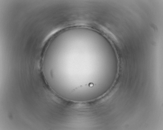 X0000115731166200911251932