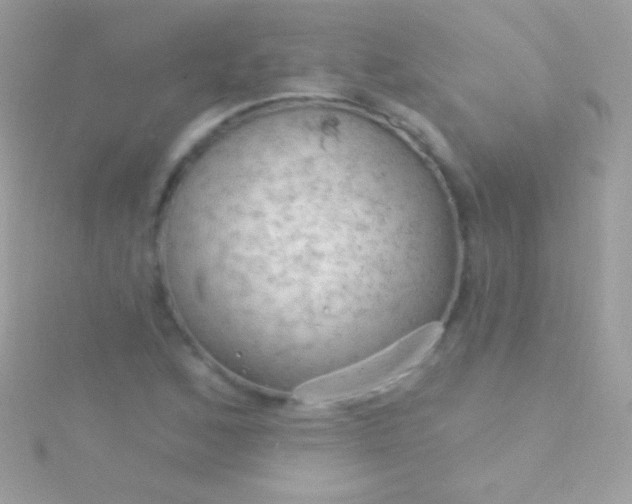 X0000115731168200911251932