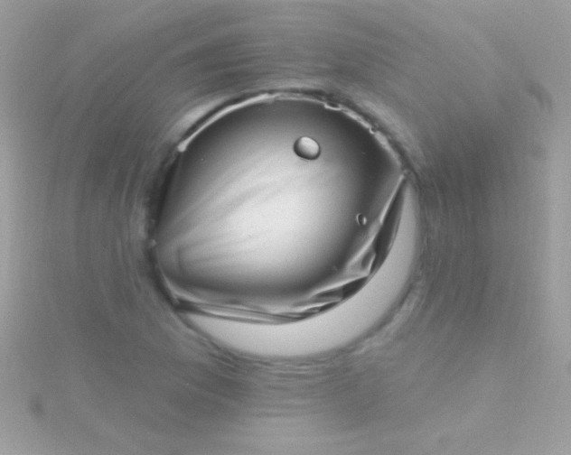 X0000115731169200911251932