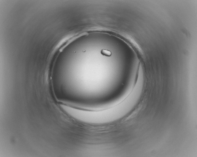 X0000115731173200911251932