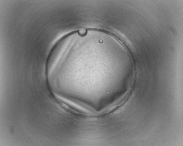 X0000115731174200911251932