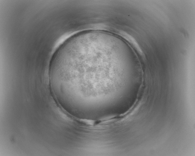 X0000115731176200911251932