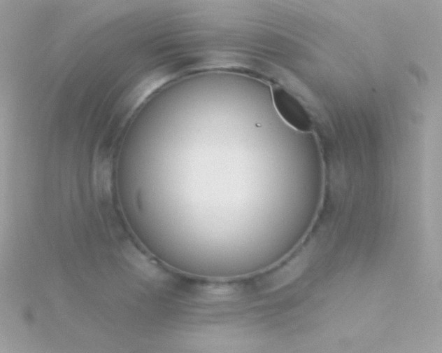 X0000115731177200911251932