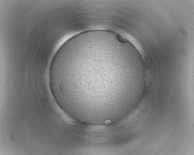 X0000115731187200911251932