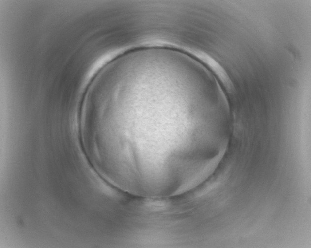 X0000115731191200911251932