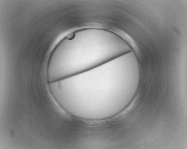 X0000115731192200911251932