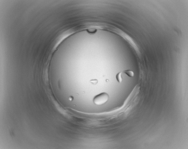 X0000115731194200911251932