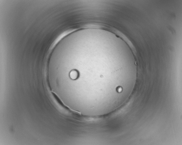 X0000115731195200911251932