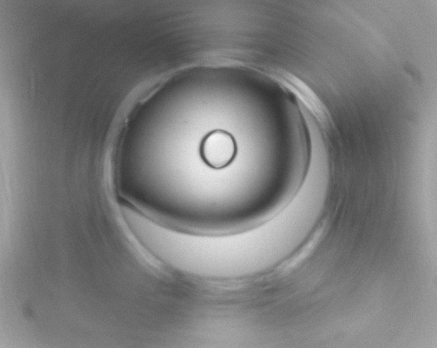 X0000115731196200911251932