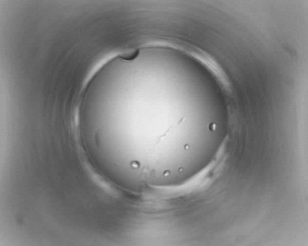 X0000115731198200911251932