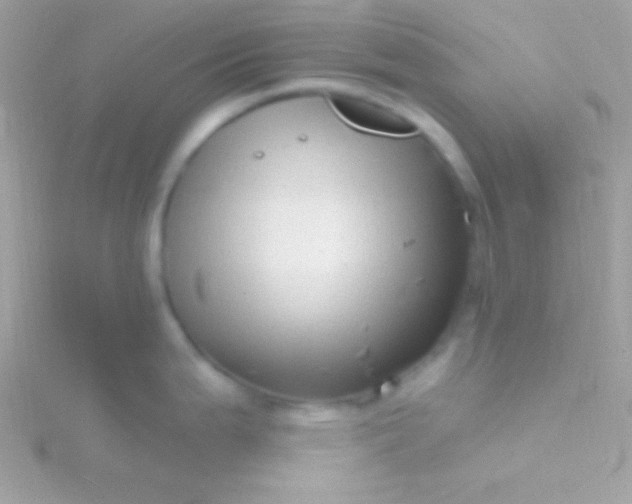 X0000115731199200911251932