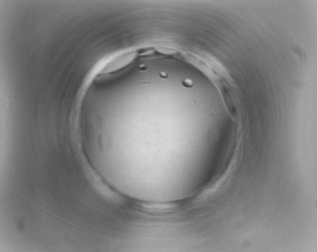 X0000115731200200911251932