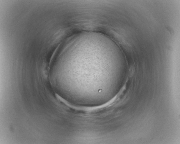 X0000115731202200911251931