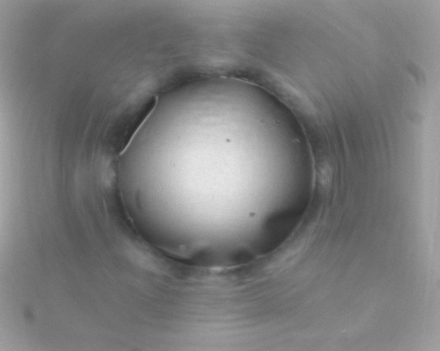 X0000115731204200911251931