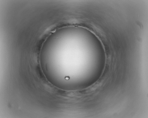 X0000115731205200911251931