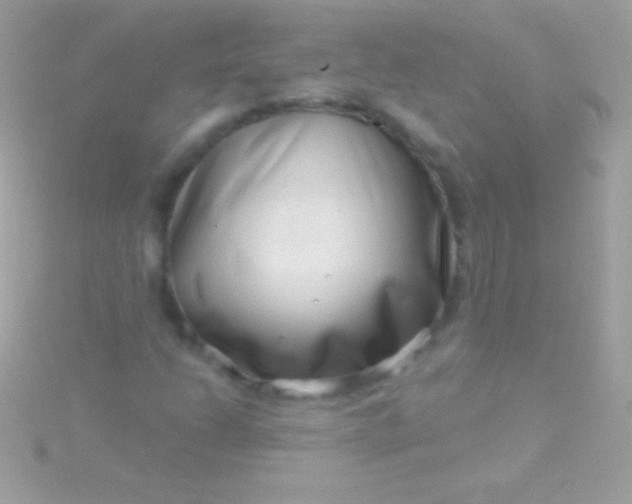 X0000115731206200911251931