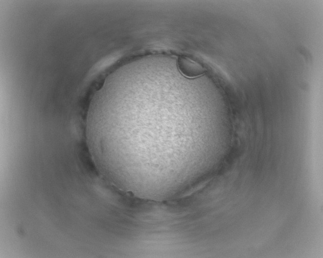 X0000115731207200911251931