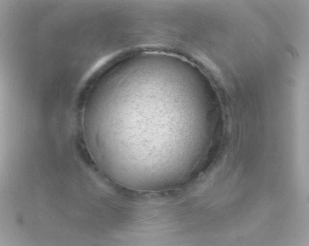 X0000115731208200911251931