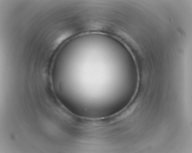 X0000115731210200911251931