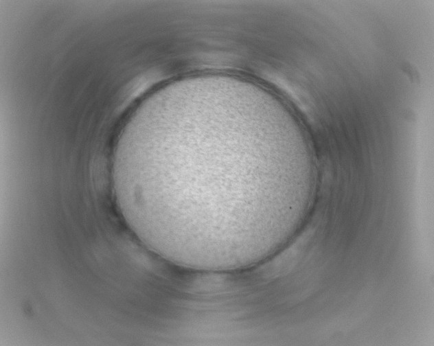 X0000115731211200911251931