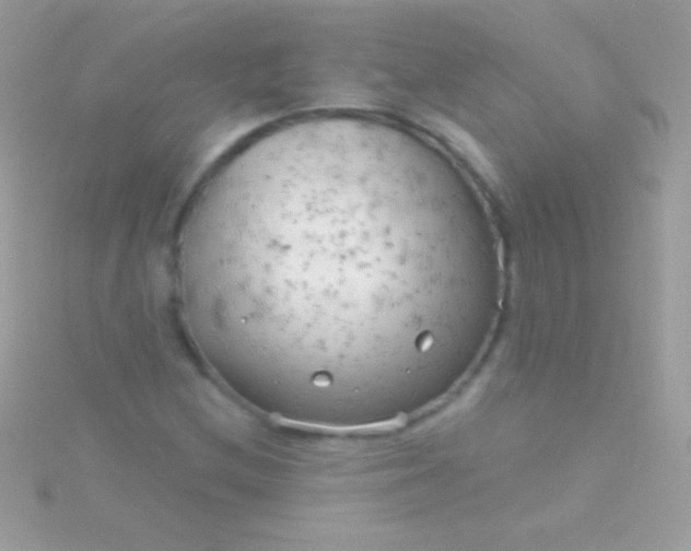 X0000115731212200911251931