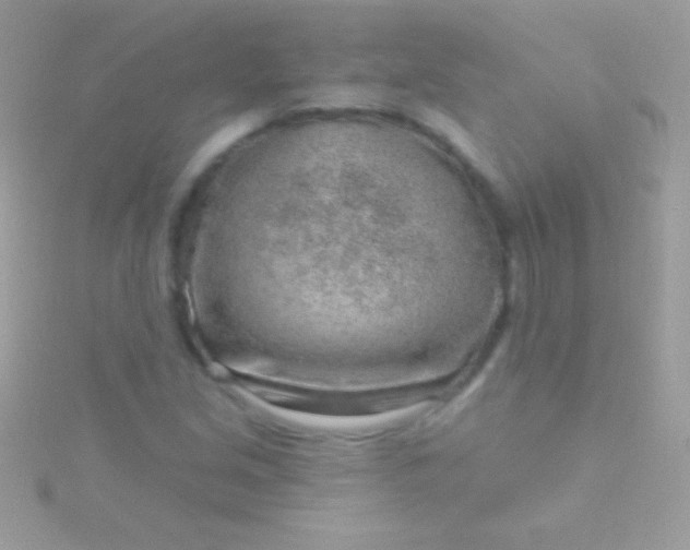 X0000115731213200911251931