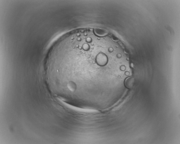 X0000115731215200911251931