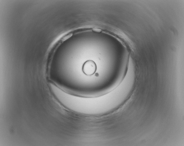 X0000115731216200911251931