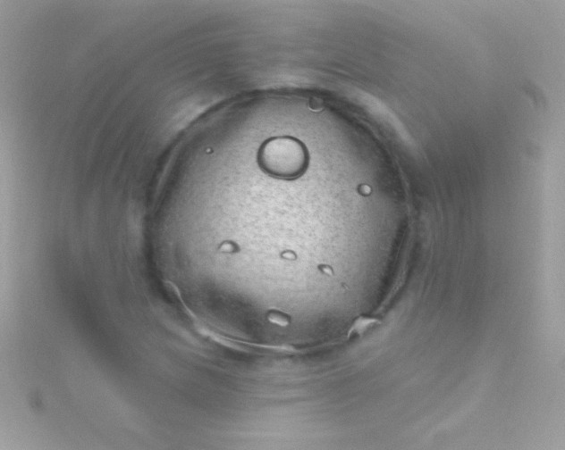 X0000115731217200911251931