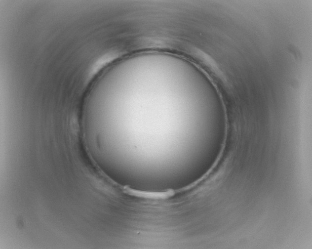 X0000115731218200911251931